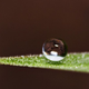 Illustration for article titled This image shows us what a perfect water droplet looks like